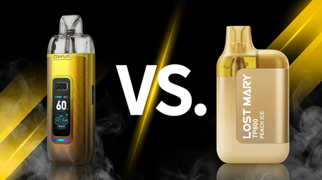 Vaper recargable vs vaper desechable comparativa de diferencias
