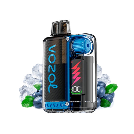 Vozol Vista Plug 2+10 Kit Blueberry Ice