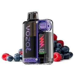Vozol Vista Plug 2 + 10 Kit  Blueberry Sour Raspberry
